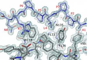 Protein Structure solved